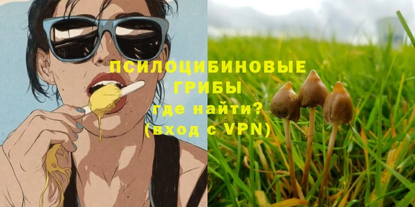 дмт Армянск